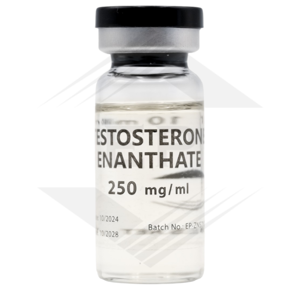 Testosterone Enanthate - 250mg/ml