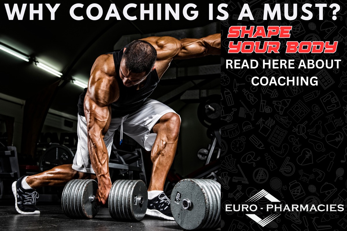 WhatsApp Image 2025 10 10 at 5.06.17 PM