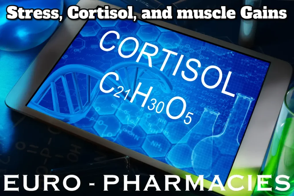 Stress and Cortisol Impacting Muscle Growth in Bodybuilding