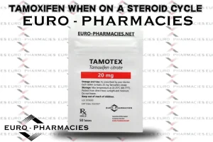 Tamoxifen for steroid cycles: preventing gynecomastia and supporting hormonal balance in bodybuilding
