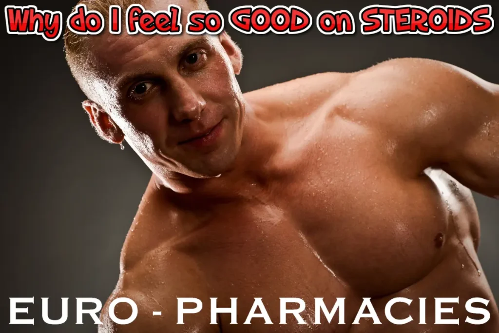 Why do I feel so good when on steroids? 1 steroids effects on mood testosterone and brain chemistry