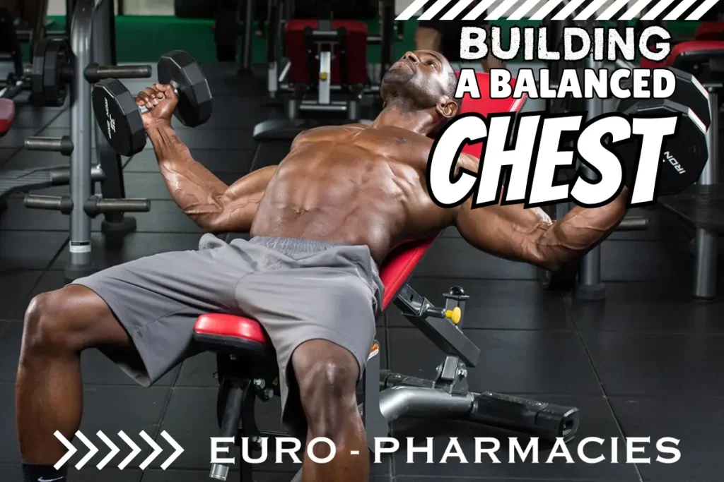 Chest muscle anatomy showing pectoralis major and minor