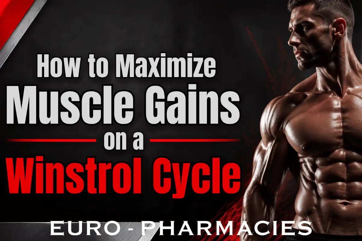 Home 19 Winstrol Cycle Muscle Gains
