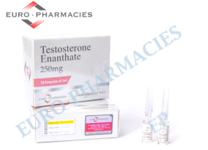 TESTOSTERONE  ENANTHATE 250mg